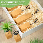 3 Pack Air Plant Holder with Wooden Base, Metal Spiral Tillandsia Stands for Desktop Shelf Display, Decorative 3 Sizes Air Plant Holder for Home Office and Housewarming Gift