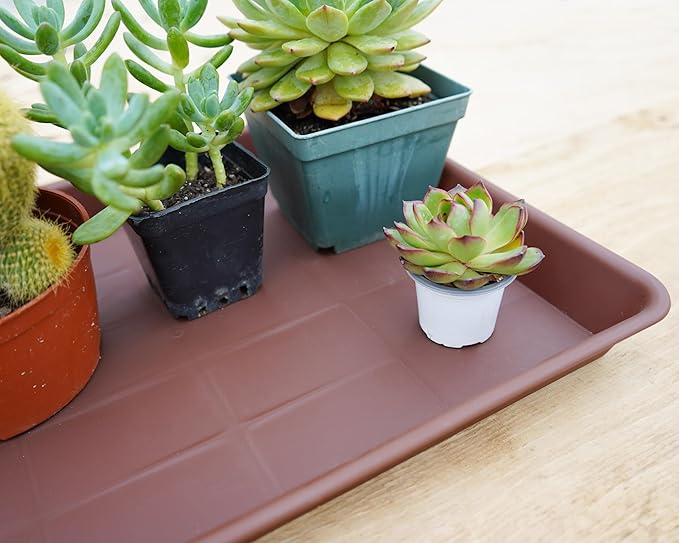 VUWEZ Rectangle Plant Tray, Plant Drip Tray, Plant Pot Saucers, Plant Germination Trays, Plant Saucers, 11'' x 9'' x 1.2'' (2 pack), Chocolate