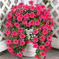 Artificial Geranium Hanging Flowers for Outdoor Decoration, 2 Bundles UV Resistant Silk Geranium Fake Plants Faux Flowers for Front Porch Garden Patio Window Box Outside Indoor Decor (Rose Red)
