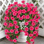 Artificial Geranium Hanging Flowers for Outdoor Decoration, 2 Bundles UV Resistant Silk Geranium Fake Plants Faux Flowers for Front Porch Garden Patio Window Box Outside Indoor Decor (Rose Red)