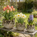 3 Piece Vintage Metal Planter Set, Rustic Distressed Farmhouse Flower Pots with Handles for Indoor Outdoor Garden, Tabletop Centerpieces & Wedding Decor