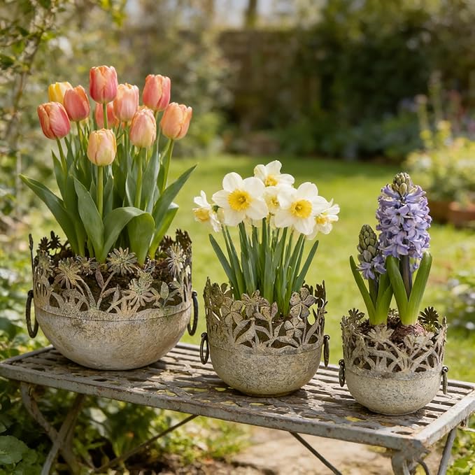 3 Piece Vintage Metal Planter Set, Rustic Distressed Farmhouse Flower Pots with Handles for Indoor Outdoor Garden, Tabletop Centerpieces & Wedding Decor