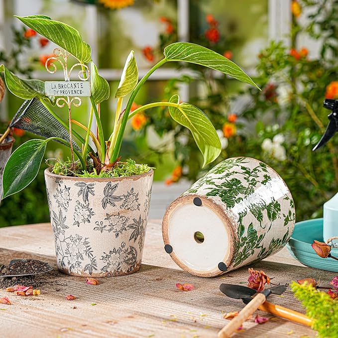 Sungmor Vintage Ceramic Planter Set of 2 - Decorative Indoor & Outdoor Flower Pots with Drainage Holes - Tuscan Décor Pots, 5.5" Ice Crackle Glaze Planters for Home, Kitchen, Patio, and Garden