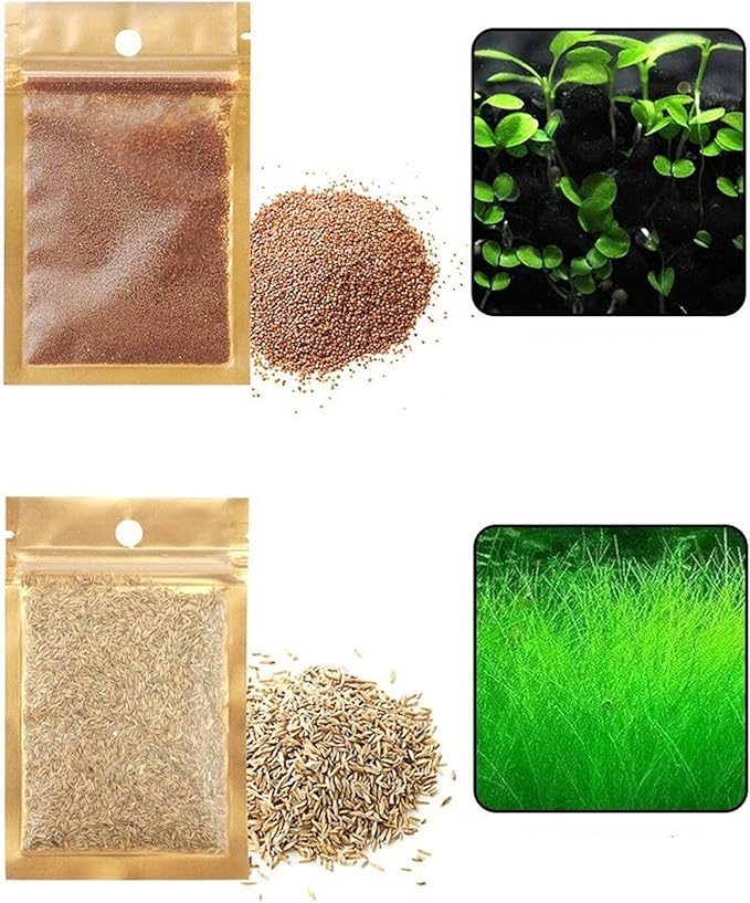 2 Pack Live Aquarium Plants S.e.e.ds - Dwarf Leaf and Long Hair Combo for Aquarium Fish Tank (0.35oz Each)