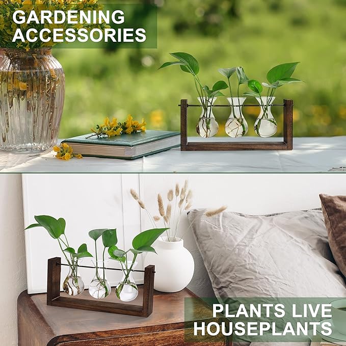 YIBOT Wall Hanging Planter Propagation Station Glass Flower Vase for Hydroponics Plants, Plant Terrarium with Wooden Stand, Bathroom, Home Office Living Room Decor Gift
