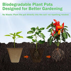 70-Pack 3.15 inch Square Peat Pots for Seedlings with 100 Labels, Biodegradable Nursery Pots with Drainage Holes for Plants
