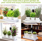 Indoor Herb Garden with Grow Light, Full Spectrum LED Planter for Kitchen Herbs & Houseplants, Height Adjustable Indoor Growing System for Home & Apartment Decor (Not Pots) (White, 16.5*6.5*4 inch)