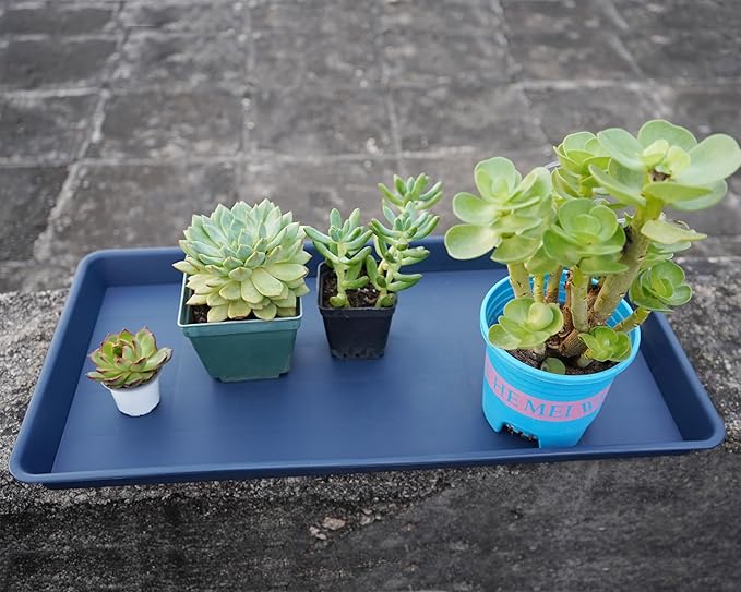 VUWEZ 4 Pack Plant Saucer Tray Rectangular, Plant Growing Nursery Trays, Heavy Sturdy Seed Starting Trays, Plant Starter Trays for Indoors No Holes, Seed Starter Growing Tray (17.5"x10.6", Blue)