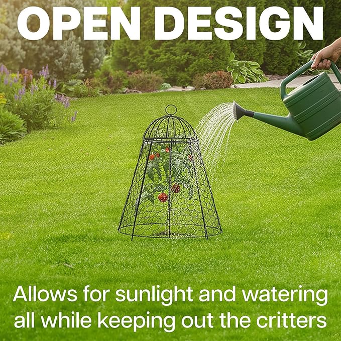 Life Finds Chicken Wire Garden Cloche Set, Protective Plant Cover for Flowers and Produce with Removable Top, Protection from Animals, Pack of 6, LF-GC6P