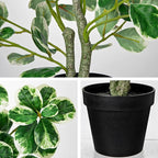 20" Artificial Rubber Tree Plant in Black Pot, Faux Ficus Tree Plant Potted with Cream White Edge Leaves, Fake Greenery Plant for Home Office Tropical Decor