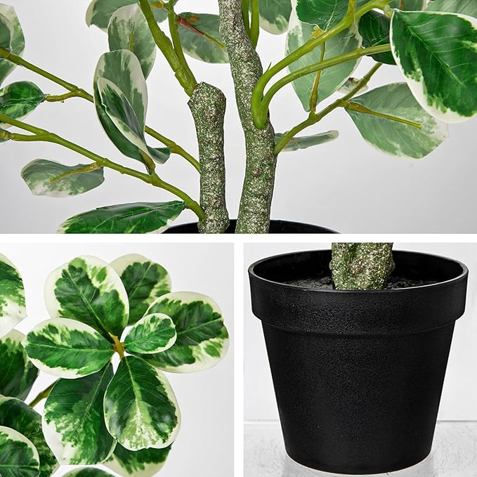 20" Artificial Rubber Tree Plant in Black Pot, Faux Ficus Tree Plant Potted with Cream White Edge Leaves, Fake Greenery Plant for Home Office Tropical Decor