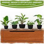 Self-Watering Pots for Indoor Plants with Visible Water Window,5/6/6.5/8/10 Inch Outdoor Flower Pots with Drainage Holes & Reservoir for Patio, Home Decor (Black)