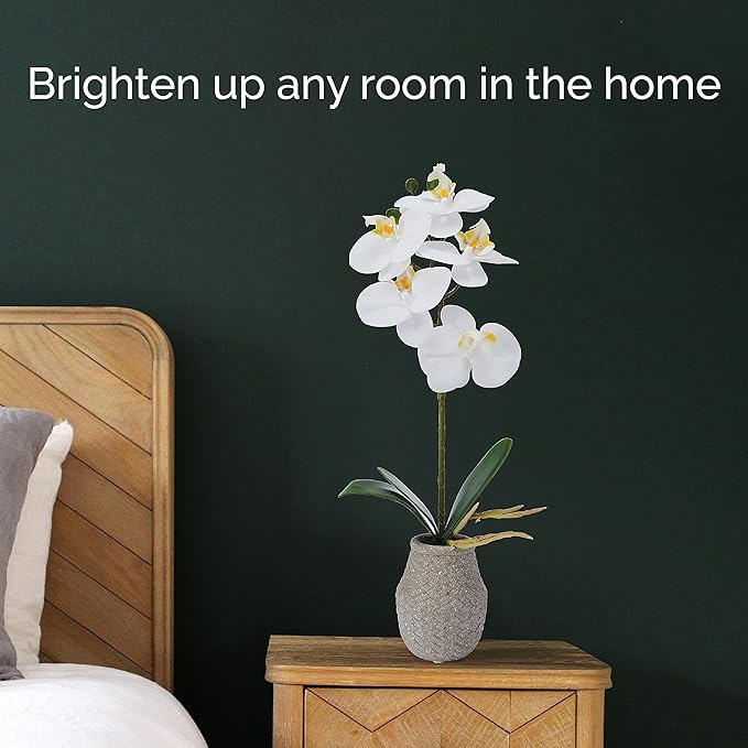Mikasa Artificial Orchid in Pot, Real Touch Phalaenopsis Orchid, Embossed Weave Cement Pot, 16-Inch Single Branch, White/Yellow