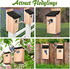 Dreyoo 2 Pack Bluebird Box Houses for Outside,1-1/2'' Entrance Hole Wooden Bird Houses with Metal Guard, Secure Latch,Fledgling Grooves,Air Vents for Bluebird Wren Swallow(Dark Wood)