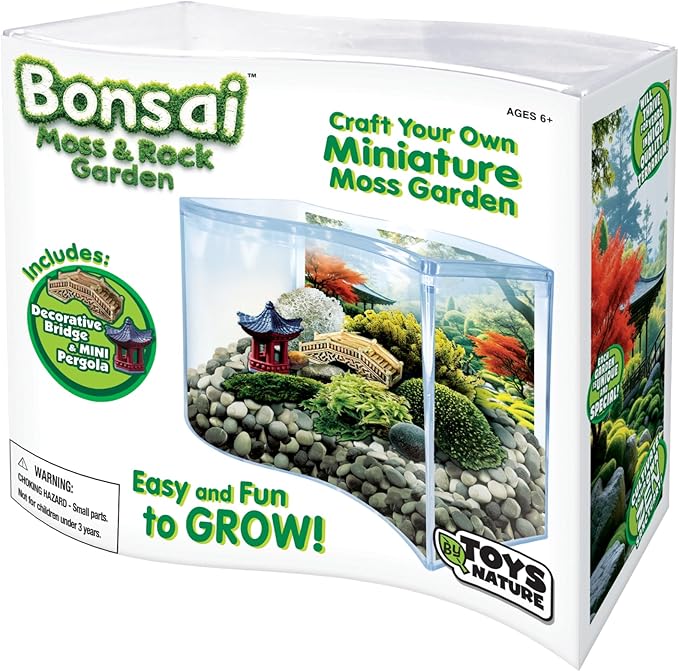 Toys By Nature Bonsai Moss & Rock Garden, Mini Wave Terrarium Kit with Real Plant, Beginner-Friendly Terrariums and Live Indoor Plants Decor