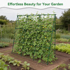 Cucumber Trellis - 49.4"*49.4" Metal Garden Trellis for Climbing Plants, Garden Trellis with Plastic-Coated Steel Pipe, A Frame Trellis for Cucumbers, Peas, Morning Glories(Green)