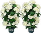 Faux Hydrangea Tree 30" Tall (2 Pack), Artificial Hydrangea Plant in Pot with White Flowers, Realistic Hydrangea Tree for Indoor Outdoor Porch, Patio, Home Decor