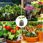 MAQIHAN 50PCS Peat Pellets for Seedlings - 30MM Seed Starter Pellets Peat Pods for Starting Seeds Garden Soil for Planting Transplanting Growing Garden Flower Vegetables
