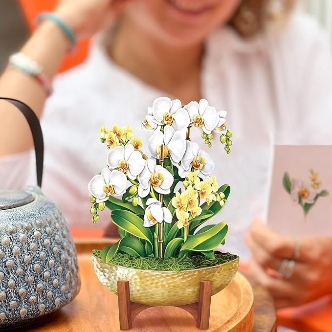 Freshcut Paper Pop Up Cards, Mini Serenity Orchid, 6 Inch Mini Sized Paper House Plants 3D Popup Greeting Card, Birthday Card, Get Well Gifts, Blank Notecard & Envelope