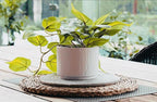 Kurrajong Farmhouse Light Green Fake pothos Plant | Fake Plant for Shelf Decor | Artificial Trailing Ivy Plant with 5" Wide Ceramic Pot | Faux pothos | Feaux Pothos