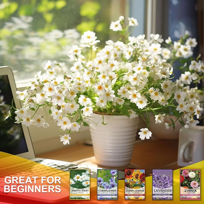 Meekear 5 Kit - Growing into Shasta Daisy, Cornflower, Sunflower, Zinnia, Lavender for Indoor Outdoor Garden DIY Gifts