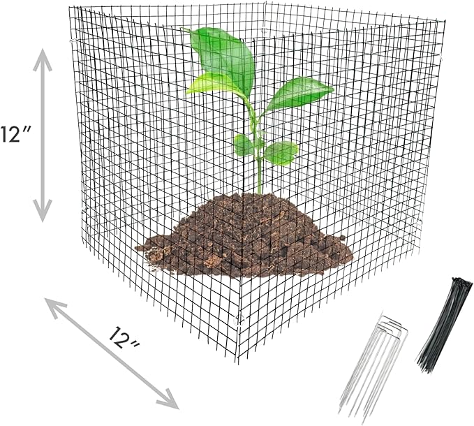 6 New Small Wire Plant Protectors, 12" Square, 12" high (Vinyl Coated Rust Resistant Wire)