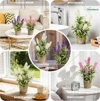 3 Colors Artificial Lavender Flowers Potted, Mini Fake Lavender Greenery, Indoor Fake Floral Decor for Home Office Desk Table Decoration