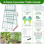 Cucumber Trellis for Raised Bed A Frame Metal Garden Trellis for Climbing Plants Outdoor, 42 x 16IN Foldable Coated Steel Cucumbers Trelli, Easy to Install Cucumber Trellis for Vegetable Fruit
