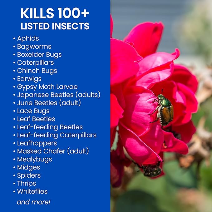 BioAdvanced Rose and Flower Insect Killer, Ready-to-Use, 24 oz, Plant Bug Spray (Pack of 2)