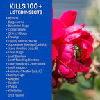 BioAdvanced Rose and Flower Insect Killer, Ready-to-Use, 24 oz, Plant Bug Spray (Pack of 2)