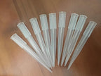 Fresh Flower Cake Spikes Clear Plastic Flower Water Tubes Floral Tubes for Flower Arrangements (L)
