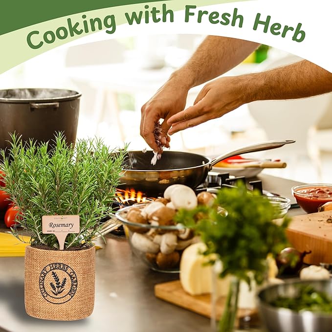 Herb Indoor Garden Kit- Unique Chrismas Herb Gardening Gift, Home Kitchen Gift for Mom, Friends, and Gardeners (Basil, Parsley, Mint, Thyme, Rosemary)