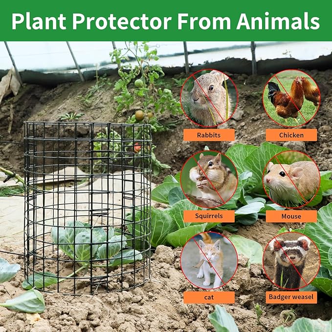 5 Pack Plant Protector from Animals, 12x12 Inches Wire Plant Protector, Plant Cages to Keep Rabbits Out