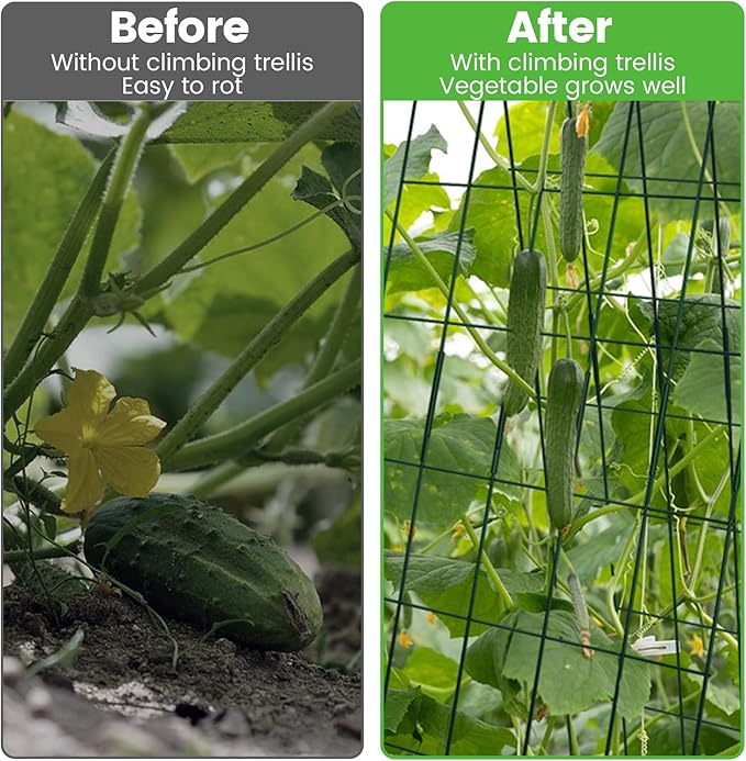 Foldable Cucumber Trellis 64" H x 20" W - 2 Pack, A-Frame Garden Trellis for Raised Bed, with Twist Ties & Plant Bags for Climbing Plants Outdoor