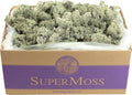 SuperMoss (25115) Reindeer Moss Preserved, Moss Green, 3lbs
