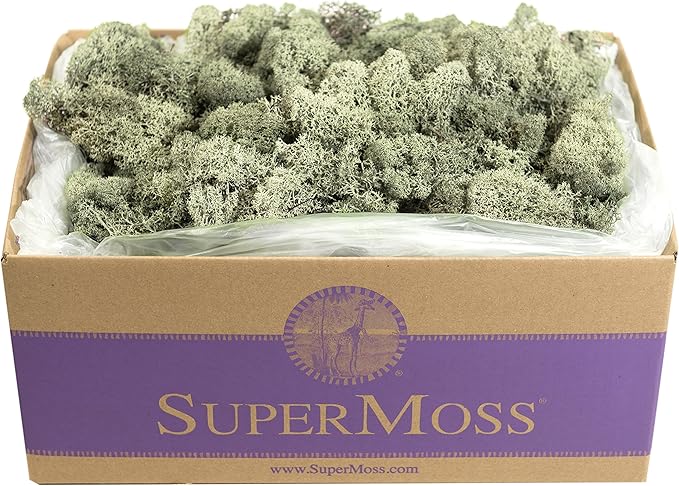 SuperMoss (25115) Reindeer Moss Preserved, Moss Green, 3lbs