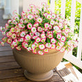 HyeFlora Artificial Faux Outdoor Flowers Plants for Spring Summer Decoration, 12 Bundles Silk Outside Morning Glory UV Resistant Realistic Fake Flowers for Planter Front Door Patio Yard Window Porch