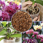 100% Organic Material All Natural Orchid Bark (8 Quarts), Long Lasting All Natural, High Flowering and Aeration for Orchid Plants, Vanda,Phalaenopsis, Cattleya and Houseplant Repotting