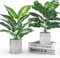 Der Rose 2 Pack Fake Plants Artificial Potted Faux Plants Indoor for Office Desk Home Farmhouse Decor