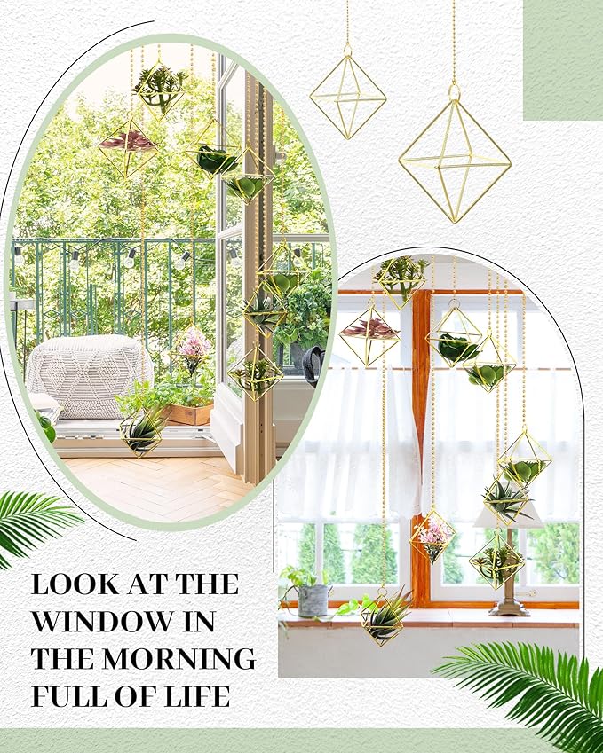 Willinglong 6 Pcs Hanging Air Plant Holder, Gold Tillandsia Air Plant Holders Unique, Airplants Live Holders, Air Fern Macrame Display for Indoor Home Office Ceiling Wall Decor