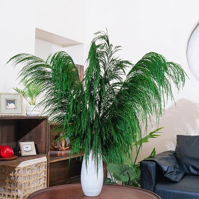 Green Pampas Grass Decor Tall,Long Dried Pampas Grass for Floor Vase, Large Natural Pompas Floral, Elegant Feather Flowers for Wedding Living Room Decorations(Natural Green, 8pcs 31.5"(80cm))