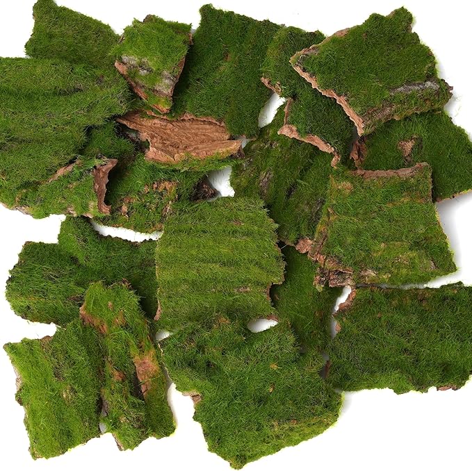 Assorted Artificial Moss Bark, Decorative Mossy Tree Bark for DIY Crafts, Fairy Gardens, Terrariums, Floral Arrangements (Realistic Green - 100gr)
