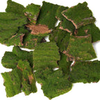 Assorted Artificial Moss Bark, Decorative Mossy Tree Bark for DIY Crafts, Fairy Gardens, Terrariums, Floral Arrangements (Realistic Green - 100gr)