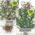 Seed Needs Rosemary & Thyme Seeds for Planting Fresh Kitchen Herbs - Non-GMO Heirloom & Untreated Perennial Herb Seed to Plant a Culinary Garden Indoors or Outdoors (2 Pack Duo)