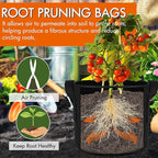 Gardzen 10-Pack 3 Gallon Grow Bags, 300G Thickened Fabric Grow Bags with Handles, Heavy Duty Aeration Plant Grow Bags