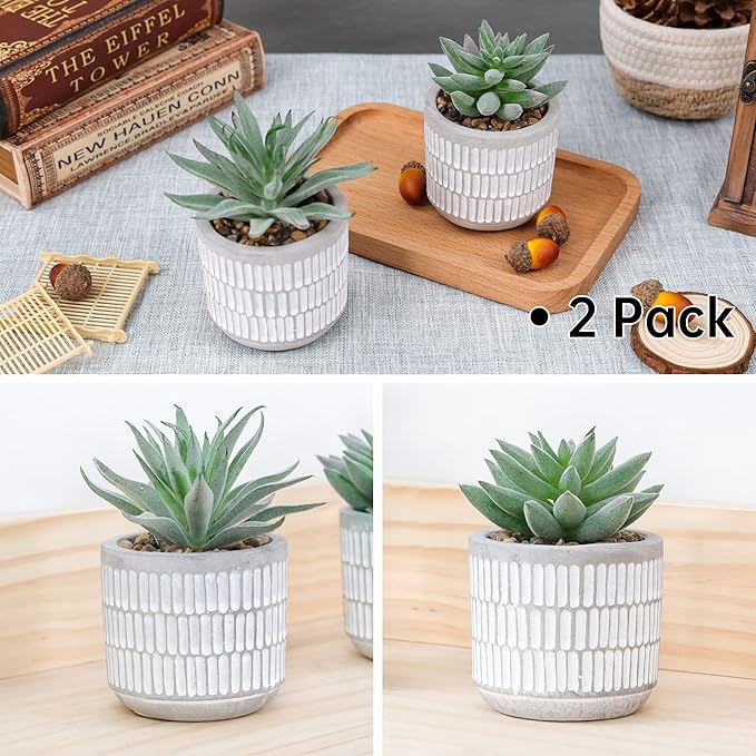 Der Rose Set of 2 Succulents Plants Artificial Fake Cactus Plants for Living Room Bathroom Bedroom Aesthetic Home Shelf Decor