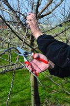 FELCO Premium 2-Pack F-8 Classic Pruner with Comfortable Ergonomic Design