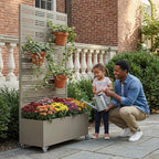 Casaphoria Metal Raised Garden Bed with Trellis and Wheels, 72"x35"x16" Planter Box for Climbing Plants, Vegetables & Vines, Features Drainage Holes and Privacy Screen, Grey-Harold