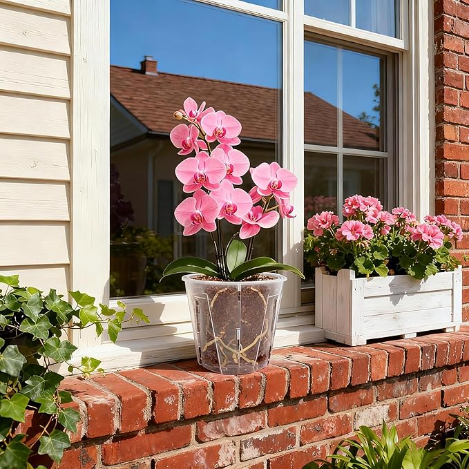 Bluepro 5 Inch Side-Open Orchid Pots 12 Pack, Clear Plastic Nursery Planters with Detachable Side Walls for Easy Repotting, Breathable Slotted Flower Pots with Drainage for Root Health