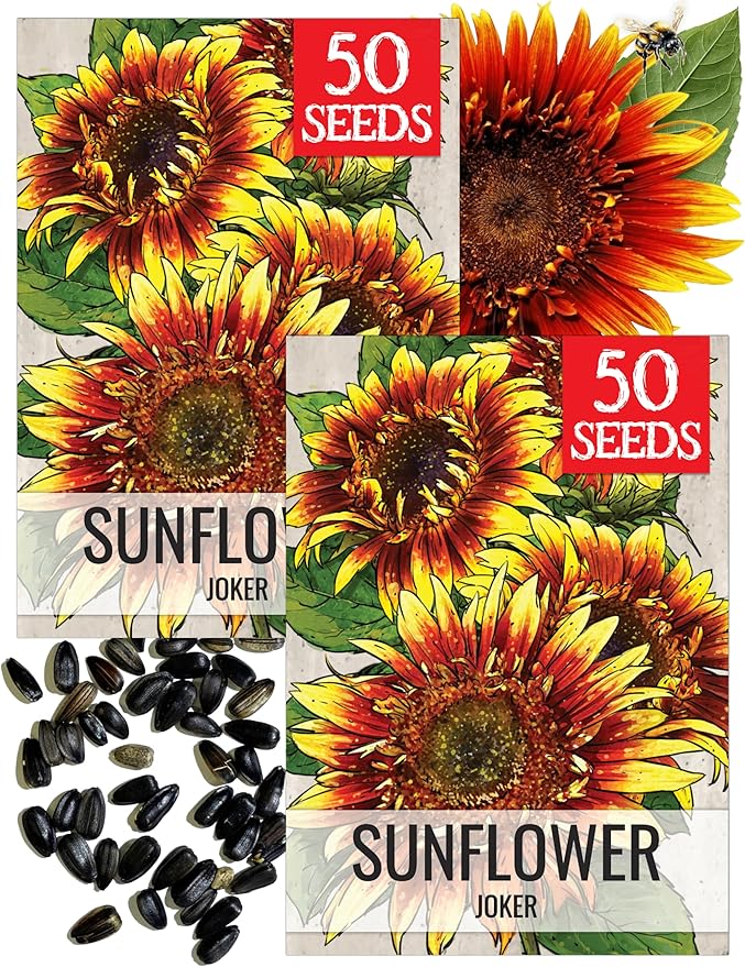 Seed Needs Joker Sunflower Seeds for Planting Sunflowers - Hybrid Flower Seed to Plant an Outdoor Home Grown Butterfly Garden (2 Packs)